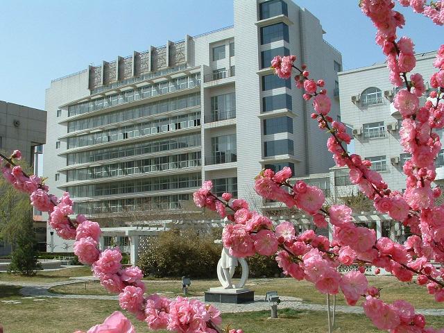 透白虎逼视频